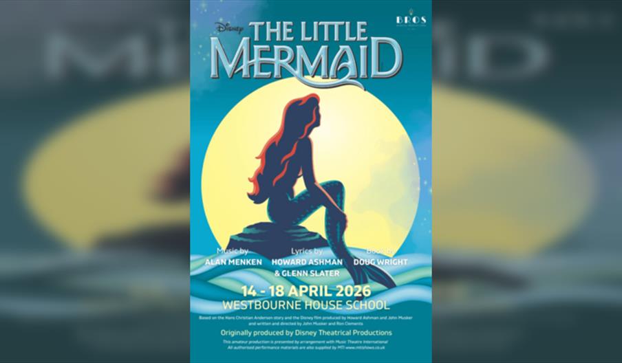 Disney's The Little Mermaid