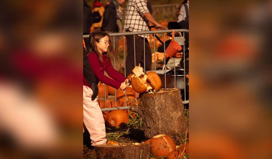 Rogate Pumpkin SMASH!