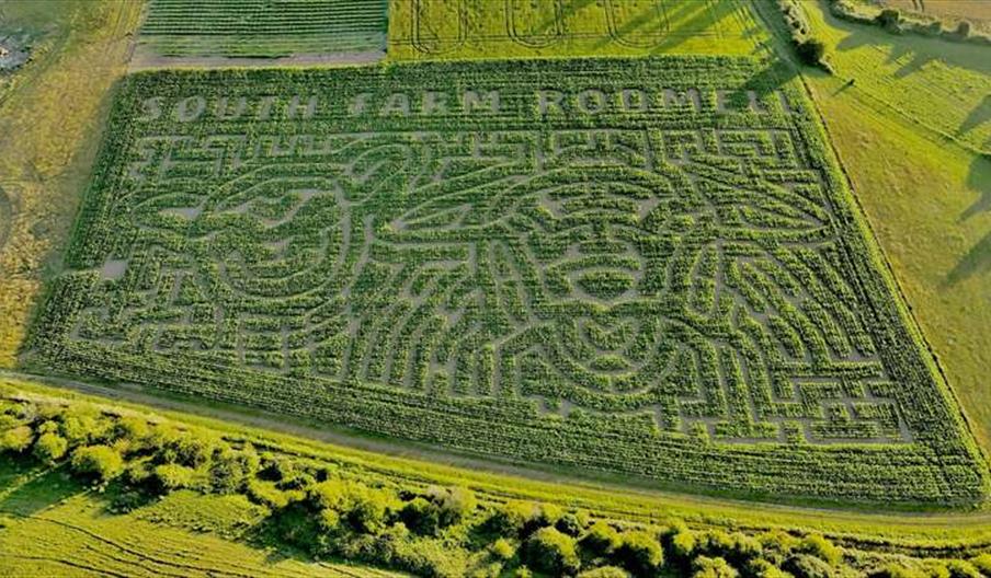 South Farm Maize Maze