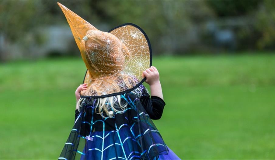 The Petworth Academy for Witches and Wizards