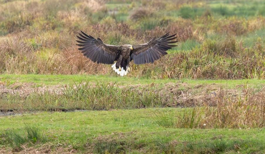 Winter Wildlife Weekend