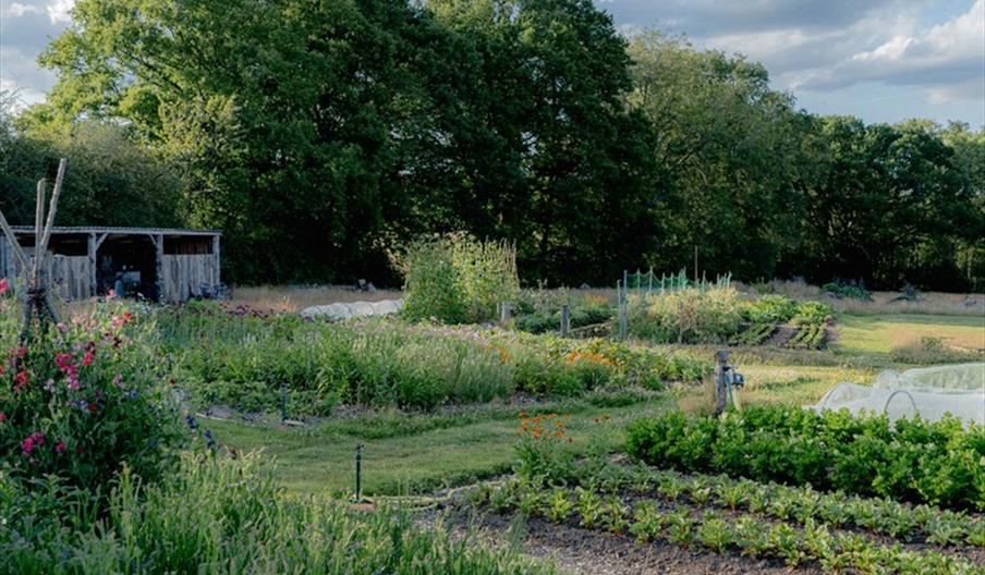 Return of the Larder