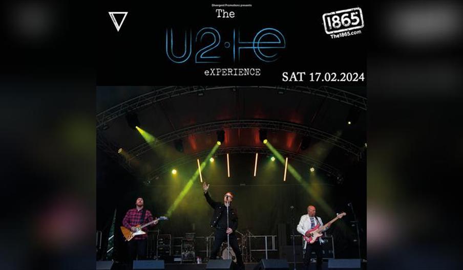 The U2 Experience