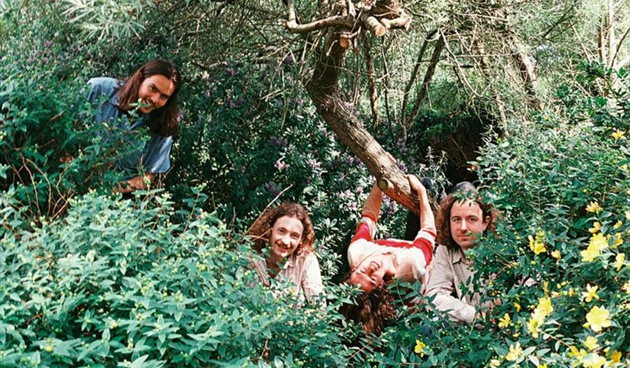 Hutch + Special Guests