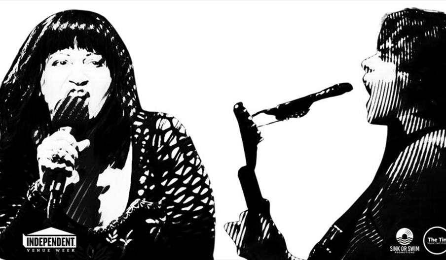 Big Sexy Noise (Lydia Lunch & Gallon Drunk)