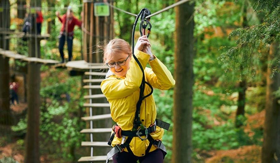 Children climbing on Go Ape treetop course holding on to ropes