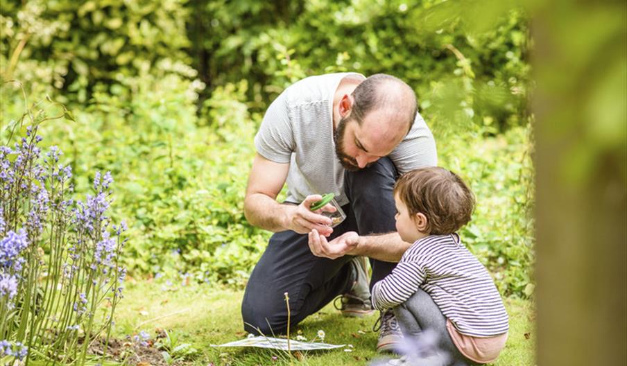 Discovery Day – Secretive spiders