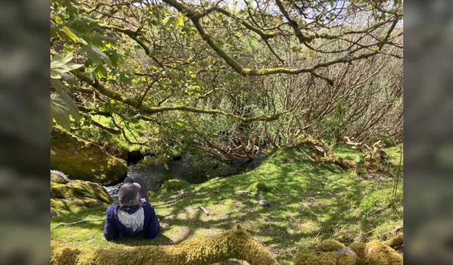 Time to Stop & Stare