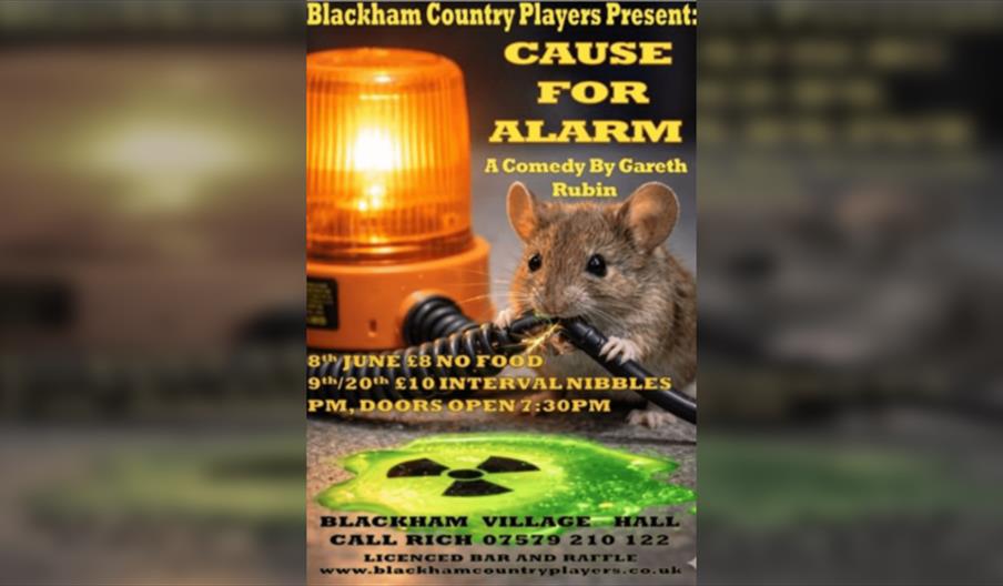 Cause For Alarm by Gareth Rubin