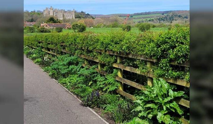 Arundel's Great Big Green Week