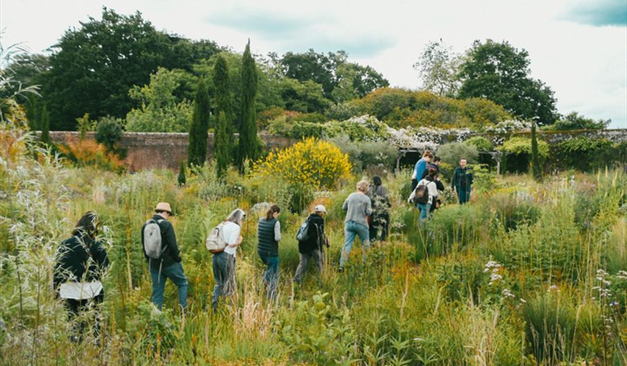 Designing a Wilder Garden Workshop