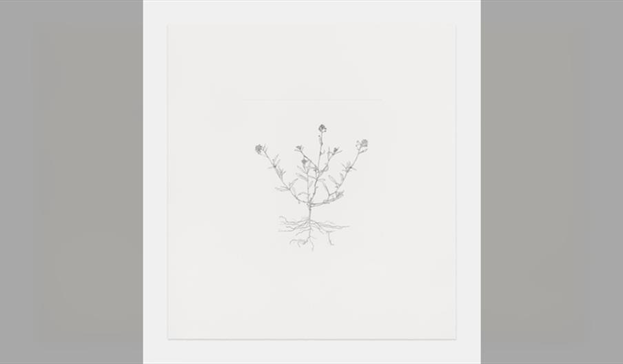 Michael Landy: LOOK