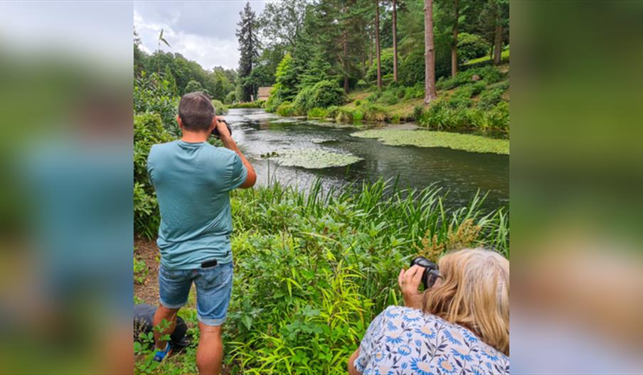 Photography for Beginners