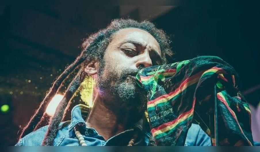 The Marley Experience