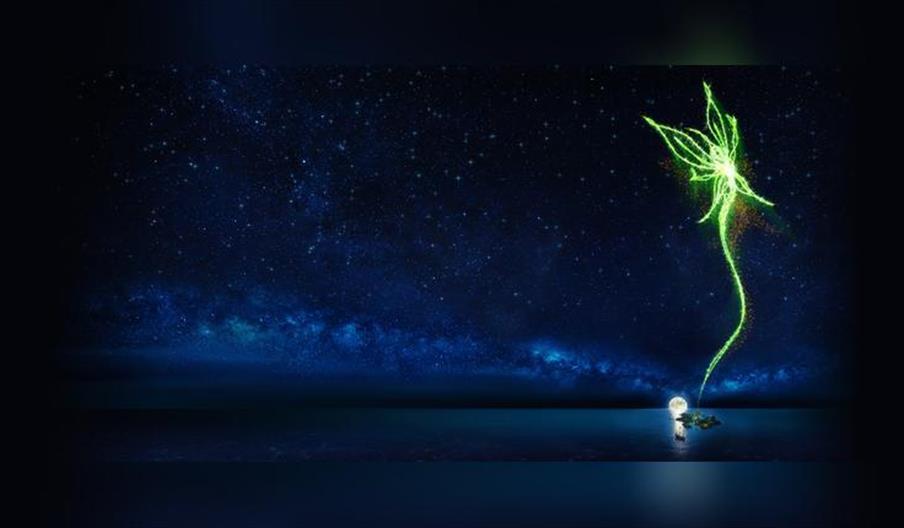 Peter Pan - a musical adventure