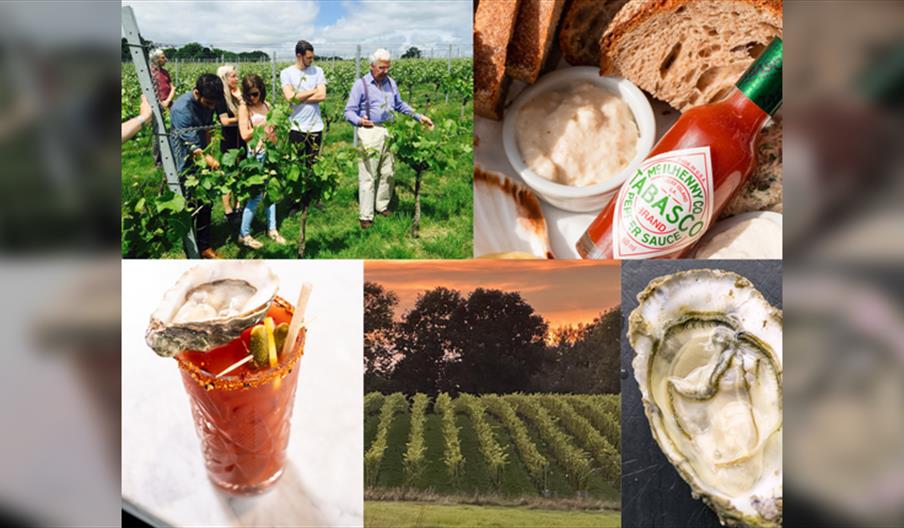A Day in The Vines - Riddle and Finns & Court garden Vineyard
