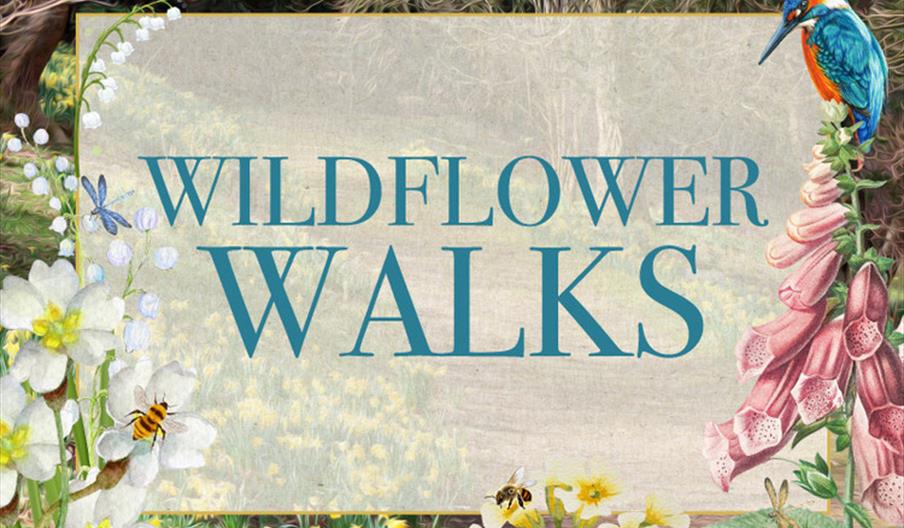 Wildflower Walks
