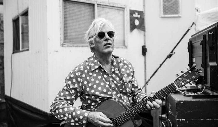 Robyn Hitchcock