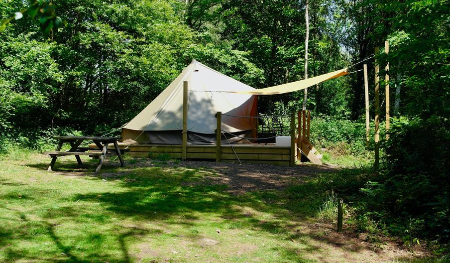 Wild Glamping Tent at Beech Estate Campsite