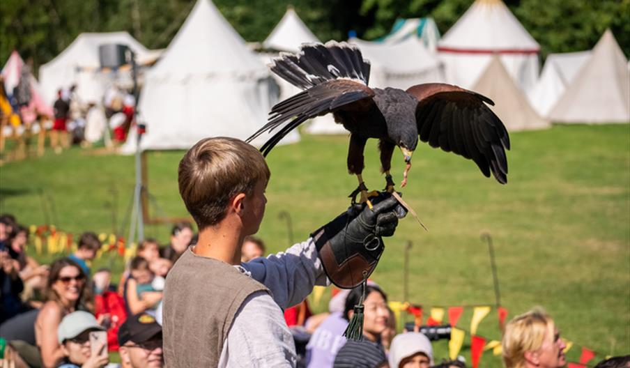 Festival of History