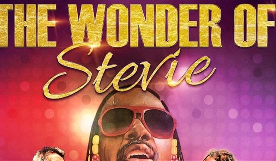 The Wonder of Stevie