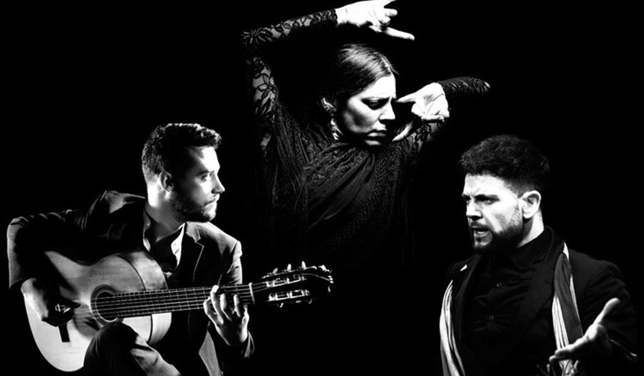 Daniel Martinez - Art of Andalucia
