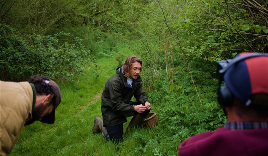 Discover the Wild: Foraging Walk at West Dean