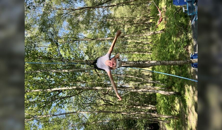 Canopy Tree Climbing