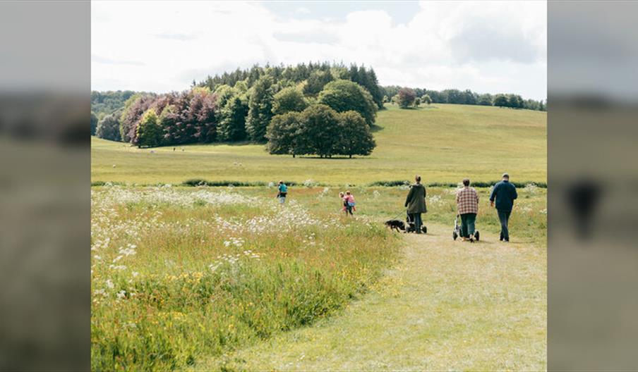 Garden Explorer Trail at West Dean Gardens - Summer Holiday Activities