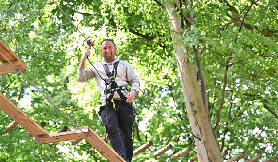 Dadventure at Go Ape Crawley