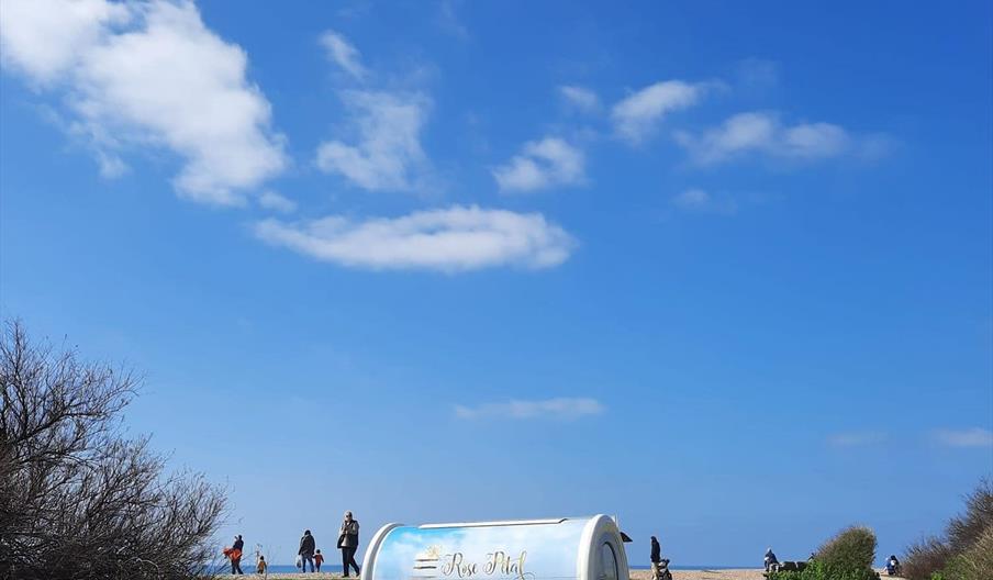 Caterpod at Shoreham Beach Green