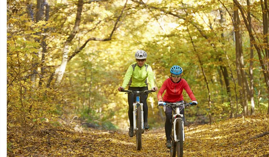 cyclists riding through autumnal trees