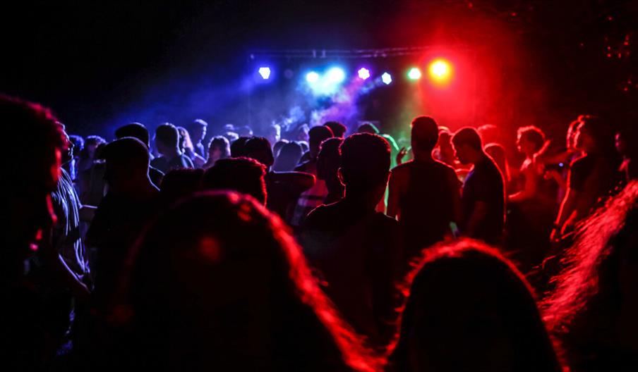 Crowd dancing in multicolour lights