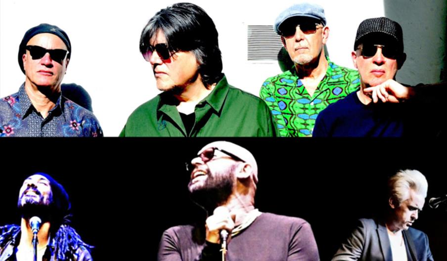 The Blow Monkeys