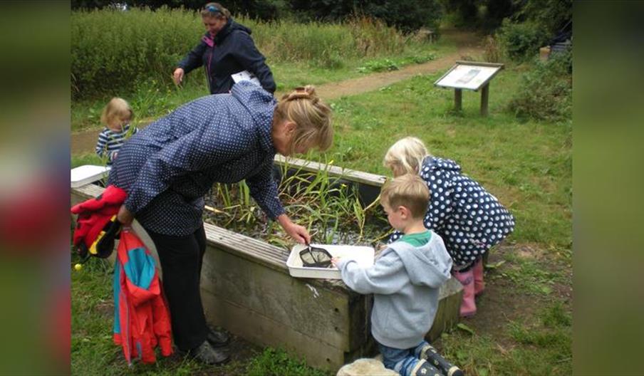 Harbour Tots Parent and Toddler Group - Harbour Tots Go Crackers!