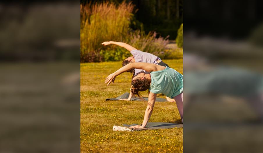 In the Turning Light - A Morning Yoga Practice with Emily Phillips