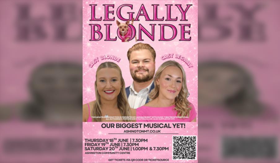Legally Blonde Amts