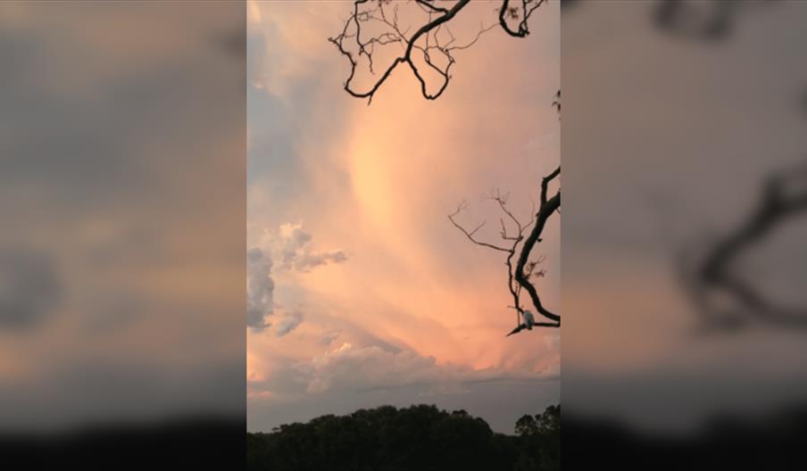 My Spirit Sang All Day