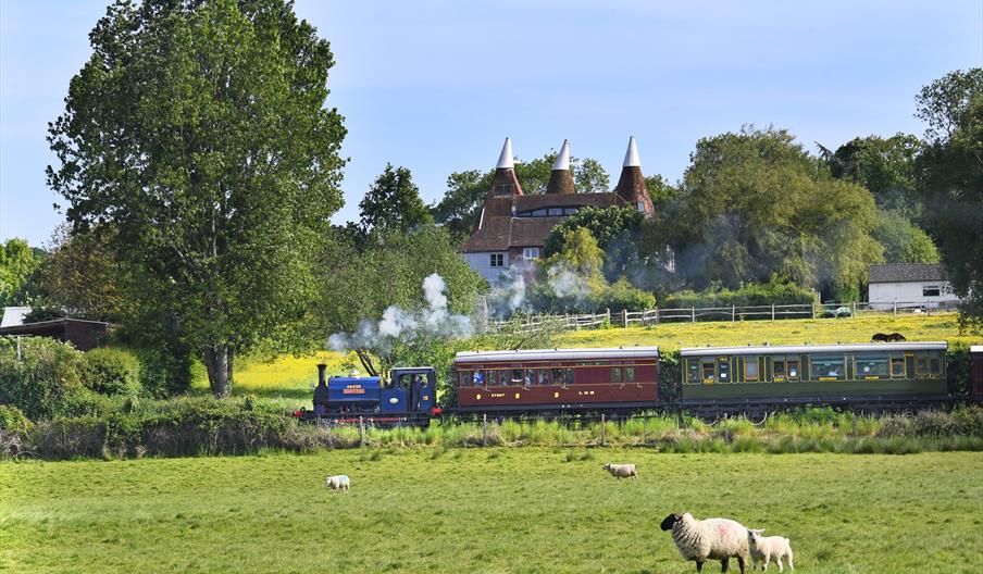 view of the steam train passing through the countryside of Tenderden