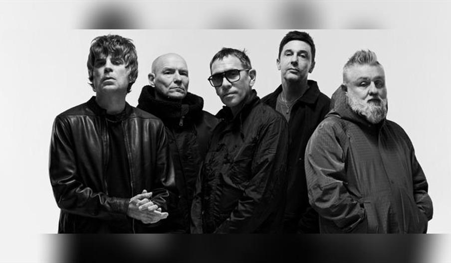 Shed Seven