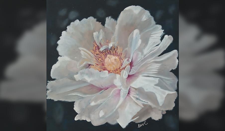 Tender Structures: Stem and Stitch