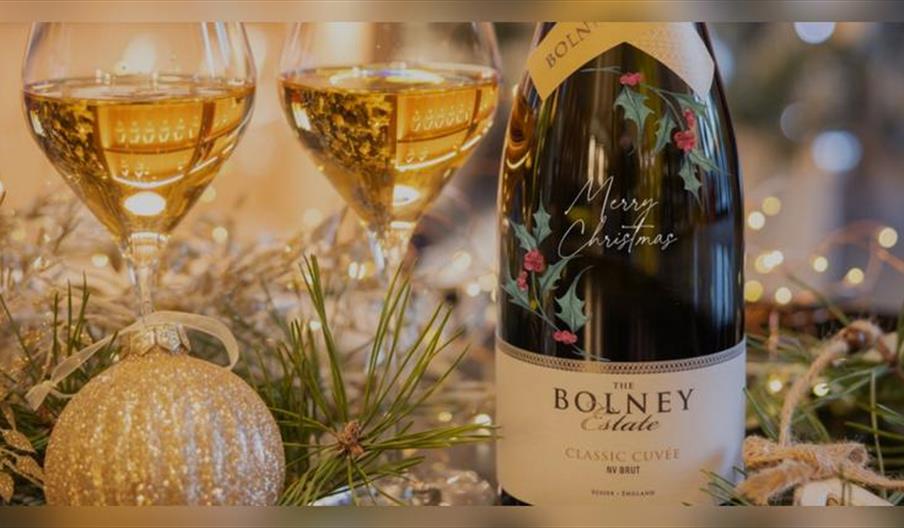 Festive Bottle Painting