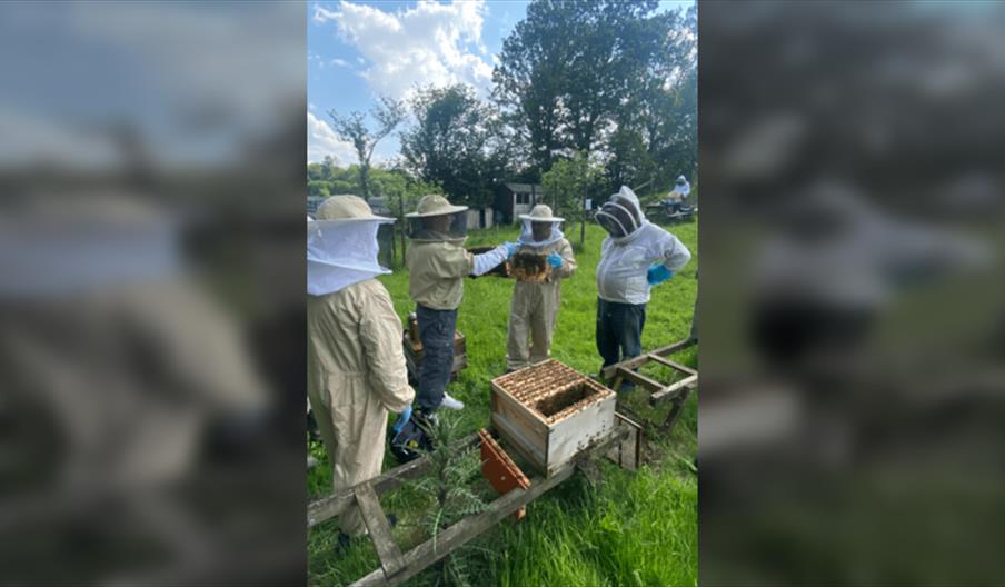 Beekeeping Taster Day