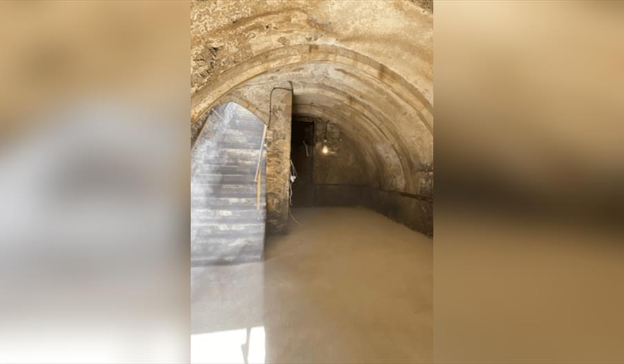 Cellar Tour