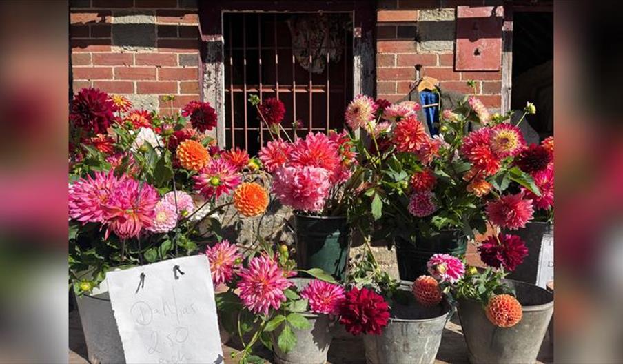 At the Woodyard by the Country Brocante