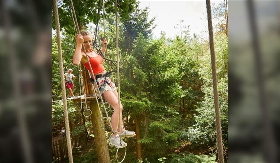 Summer Holiday Adventures