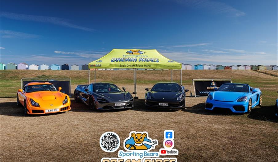 Sporting Bears at Lancing Motor Show