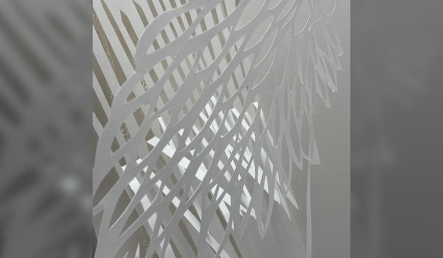 Sarah Sepe: Garden Perspectives