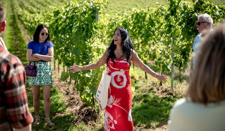 Vineyard Tour and Tasting
