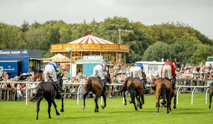 Fontwell Family Festival